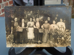 Cpa-phot Anonyme, Groupe De Femmes Avec Paniers - Photographie