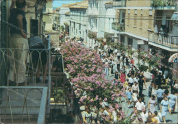 Bv739 Cartolina Tollo Corso Roma Provincia Di Chieti Abruzzo - Chieti