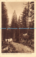 R168460 Col De La Faucille. Chemin Forestier. Collection Le Jura. Braun - Welt