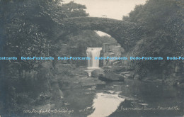 R169814 Waterfall Bridge. Jesmond Dene Newcastle. 1924 - Welt