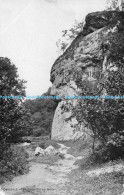 R168484 Dovedale. The Lion Faced Rock - World