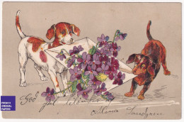 Noël 1910 CPA Postcard Sweden Suède Fleurs Chiot Teckel Dachshund Vintage Dog Flowers Lettre Chien De Chasse A74-23 - Chiens