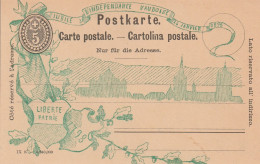 Suisse Entier Postal Illustré 1898 - Ganzsachen