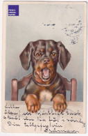 Carte Postale CPA 1905 Postcard Sweden Suède Portrait Chiot Teckel Dachshund Vintage Dog Basset Chien De Chasse A74-24 - Chiens