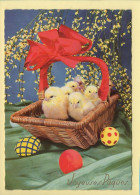 Fêtes : Pâques / Joyeuses Pâques / Poussins / Oeufs / Panier / CPSM (voir Scan Recto/verso) - Easter
