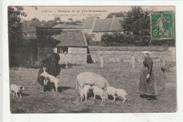 CP Scenes De La Vie Normande Vous Pouvez L'peser - Andere & Zonder Classificatie