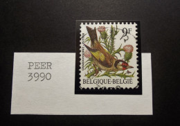 Belgie Belgique - 1985 -  OPB/COB  N° 2190 -  Putter - Buzin -  9 F - Peer - 1992 - 1985-.. Vogels (Buzin)