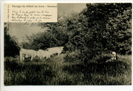 CPA  58 Nièvre Pacage Du Bétail Au Bois -  Vaches Poème D'Achille Millien - Other & Unclassified