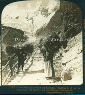 Suisse Valais * Saas Fee, Paysans, Transport Du Foin Sur Le Chemin Du Glacier De Fee - Photo Stéréoscopique 1908 - Stereo-Photographie