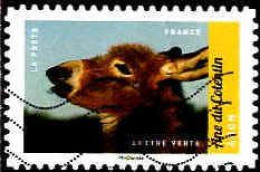 France Poste AA Obl Yv:1393 Mi:6688 Âne Du Cotentin Ânon (Lign.Ondulées) - Used Stamps