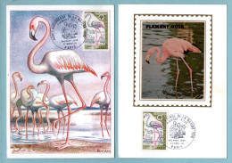 Carte Maximum 1970 - Année Européenne De La Nature - Flamant Rose YT 1634 - Paris - 1970-1979