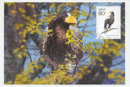 Maximum Card China 2001 Bird Of Prey - Eagle - Other & Unclassified