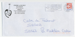 Postal Stationery / PAP France 2001 Bird - Ostrich - Chicken - Duck - Boerderij