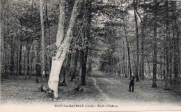 4V5Hy  60 Pont Sainte Maxence Forêt D'Halatte En TBE - Trees