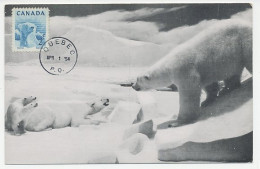 Maximum Card Canada 1954 Polar Bear  - Arctic Expeditions