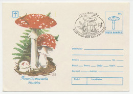 Postal Stationery Romania 1994 Mushroom - Pilze