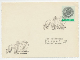Card / Postmark Poland 1972 Dog  - Autres & Non Classés