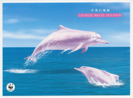 Postal Stationery HongKong Chinese White Dolphin - WWF - Maritiem Leven