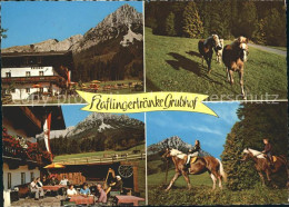 71708801 Ellmau Tirol Haflingertraenke Grubhof Reiten Wilder Kaiser Ellmau - Autres & Non Classés