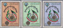 618883 MNH KUWAIT 1994 25 ANIVERSARIO DEL BANCO CENTRAL DE KUWAIT - Kuwait