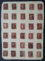 GB VICTORIA 1864 Page Of 30 One Penny Red Various Plate Numbers - Usati