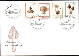 Luxembourg ,Luxemburg ,1991,  FDC  Mi. 1267 - 1270,  PILZE, CHAMPIGNONS, ESST, SONDERSTEMPEL - FDC