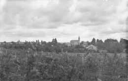 Faye L'abbesse * Vue Générale Du Village Côté Sud - Sonstige & Ohne Zuordnung