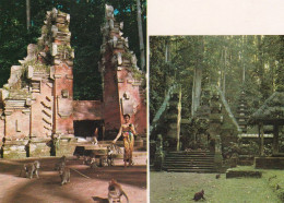1 AK Indonesien / Indoesia * The Sacred Monkey Forest - Der Heilige Affenwald Auf Bali Bei Dem Dorf Sangeh * - Indonésie