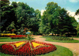 62 - Saint Omer - Le Jardin Public - Fleurs - CPM - Voir Scans Recto-Verso - Saint Omer