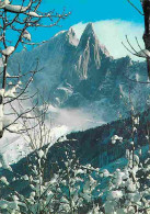 74 - Chamonix - Mont-Blanc - Au Pays Du Mont-Blanc - L'aiguille Du Dru - CPM - Voir Scans Recto-Verso - Chamonix-Mont-Blanc