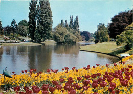 59 - Roubaix - Le Parc Barbieux - Fleurs - CPM - Voir Scans Recto-Verso - Roubaix