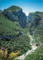 48 - Les Gorges Du Tarn - Le Point Sublime - CPM - Voir Scans Recto-Verso - Gorges Du Tarn