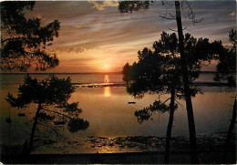 33 - Bassin D'Arcachon - Coucher De Soleil - CPM - Voir Scans Recto-Verso - Sonstige & Ohne Zuordnung