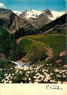 05 - Hautes Alpes - Vallée De Prapic - Flamme Postale De Ancelle - CPM - Voir Scans Recto-Verso - Autres & Non Classés