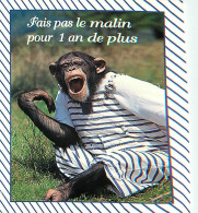 Animaux - Singes - Chimpanzé - Carte à Message - Carte Neuve - CPM - Voir Scans Recto-Verso - Monkeys