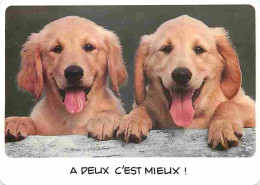 Animaux - Chiens - Golden Retriever - Chiots - CPM - Voir Scans Recto-Verso - Chiens