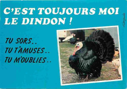 Animaux - Oiseaux - Dindons - CPM - Voir Scans Recto-Verso - Oiseaux