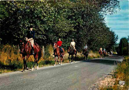 Animaux - Chevaux - Promenade équestre - CPM - Voir Scans Recto-Verso - Pferde