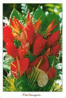 Martinique - Anthuriums Roses De Porcelaine - Fleurs - CPM - Voir Scans Recto-Verso - Autres & Non Classés