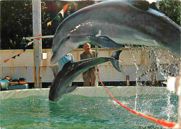 Animaux - Zoo Jean Richard De Ermenonville - Les Célèbres Dauphins De Jean Richard Et Du Capitaine Richard Decker - Dolp - Delphine