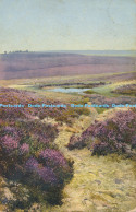 R169991 Old Postcard. Fields. 1912 - Monde