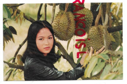 Durio Zibethinus. Durian / Durion. Arbre Fruitier De Thaïlande. - Arbres