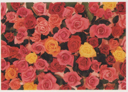 FLOWERS Vintage Ansichtskarte Postkarte CPSM #PBZ223.A - Blumen