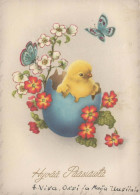 PASCUA POLLO HUEVO Vintage Tarjeta Postal CPSM #PBP223.A - Easter
