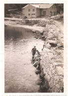 Croatie - ÎLE DE KRK - Photographie Ancienne 5,9 X 8,6 Cm - Voyage En Yougoslavie En Août 1951 - (photo) - Croatie