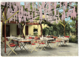 47  COUSSAN SUR GARONNE  RESTAURANT LES GLYCINES   MARMANDE  -  CPM  1950 / 60 - Marmande