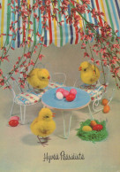 PÂQUES POULET ŒUF Vintage Carte Postale CPSM #PBO629.A - Ostern