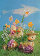 PASQUA UOVO Vintage Cartolina CPSM #PBO213.A - Easter