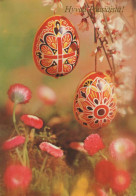 PASQUA UOVO Vintage Cartolina CPSM #PBO158.A - Easter
