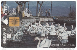 GREECE - Birds, Lake Of Kastoria, 02/96, Used - Autres & Non Classés